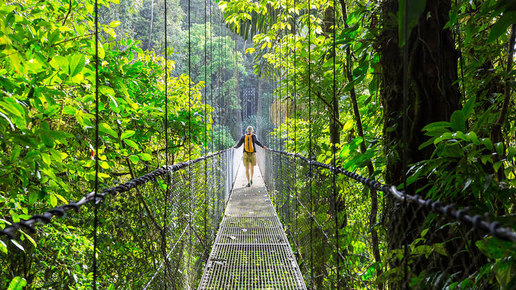 Costa Rica rainforest