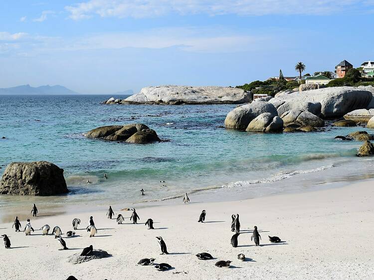 The 10 best Cape Town beaches