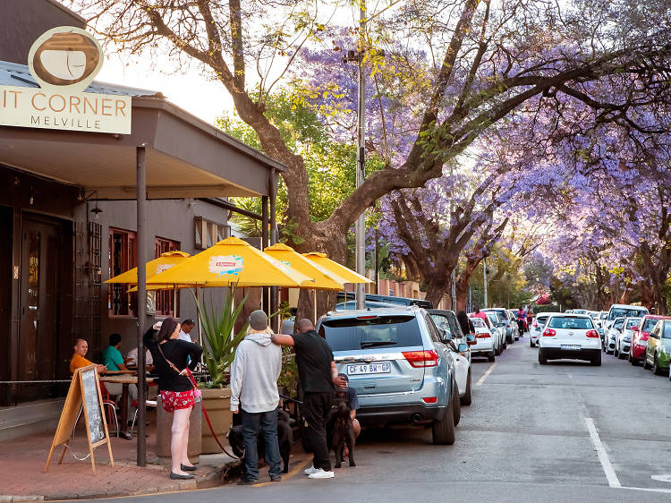 What to do in Melville, Johannesburg's coolest neighbourhood