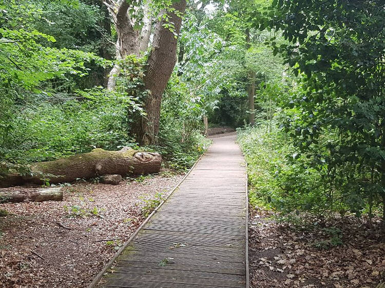 See the inspiration for ‘Lord of the Rings’ at Moseley Bog