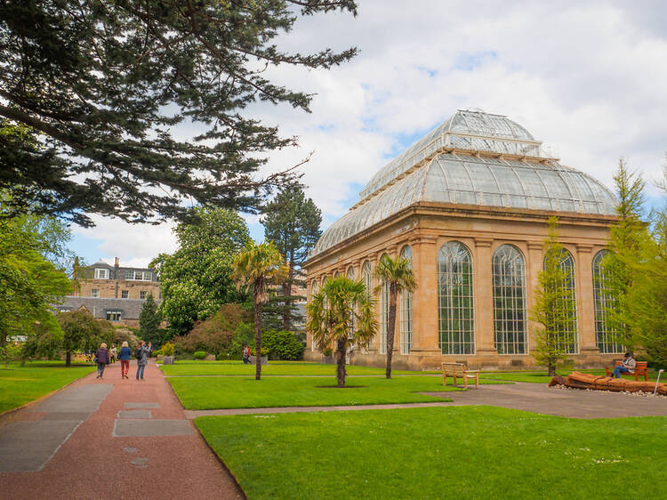 Have a wander through the Royal Botanic Garden Edinburgh