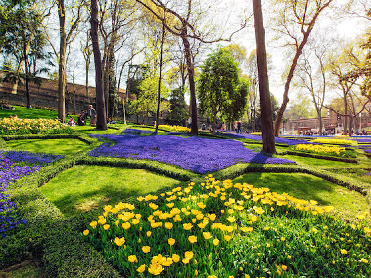 Admire the blooming tulips at Gülhane Park
