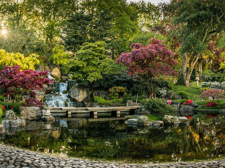 Discover the Kyoto Garden in Holland Park