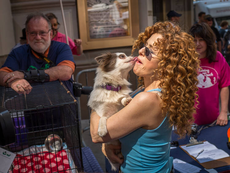 Bernadette Peters shares her favorite pet-friendly NYC spots