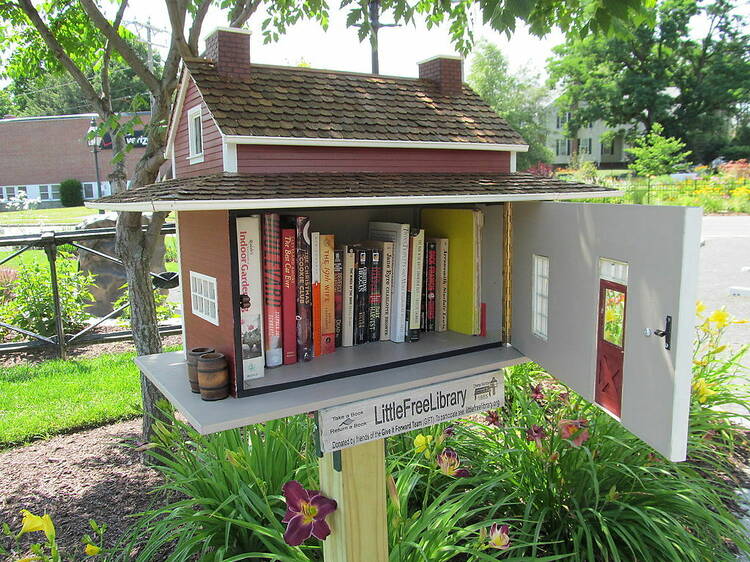 More than two dozen free library boxes have been installed in NYC community gardens