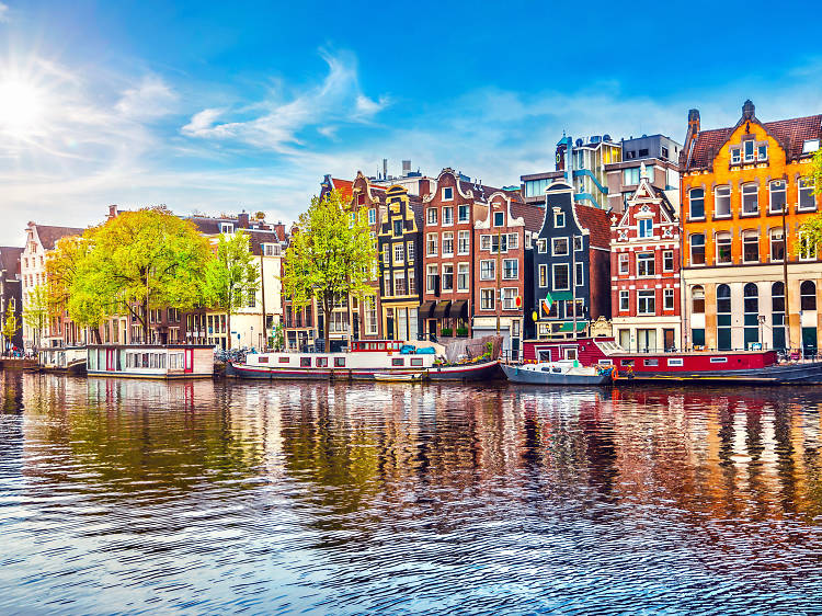 The 23 best things to do in Amsterdam