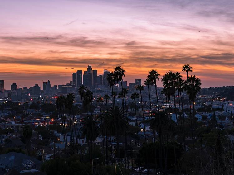 The 37 best things to do in Los Angeles