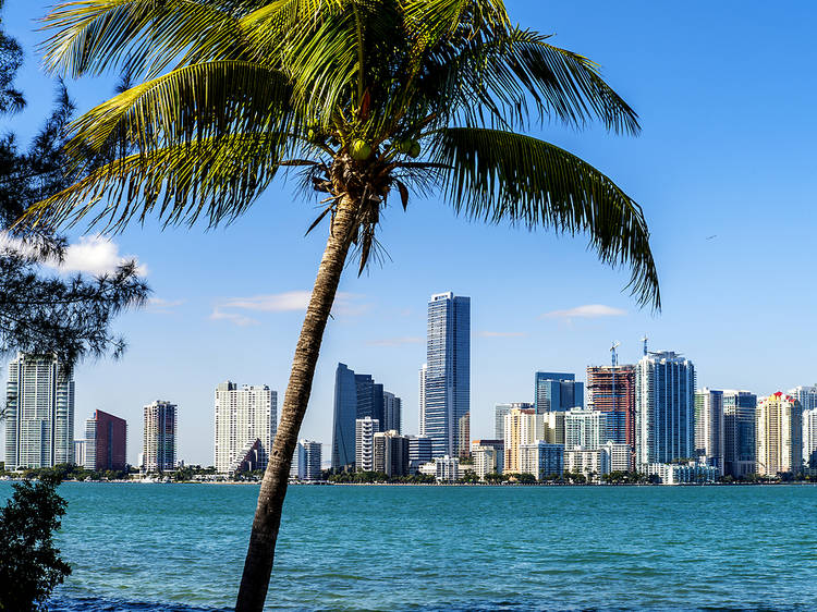 The 23 best things to do in Miami 
